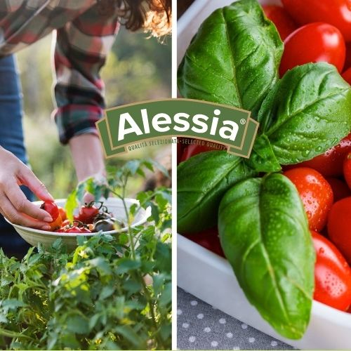Alessia italian products